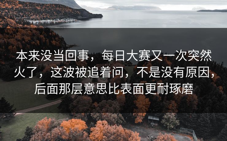 本来没当回事，每日大赛又一次突然火了，这波被追着问，不是没有原因，后面那层意思比表面更耐琢磨